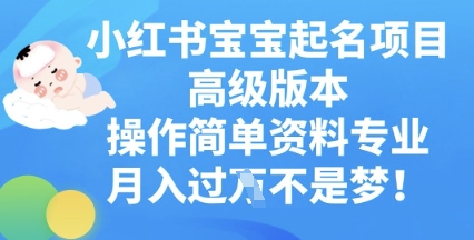 小红书宝宝起名项目高级版本,操作简单,资料专业,月入过W-橙心云网创