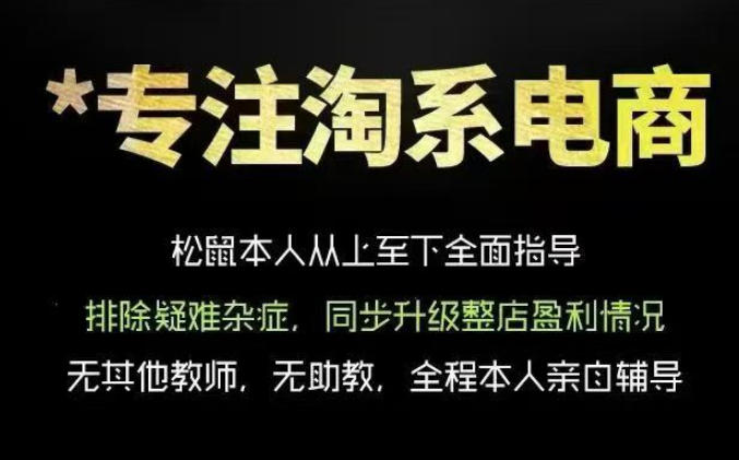 松鼠会电商VIP课程，从基础布局到高阶优化，助你掌握淘宝运营逻辑，提升店铺流量与转化(更新0823)-橙心云网创