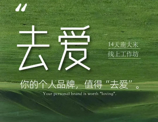 去爱14天鹿大米线上工作坊，你的个人品牌，值得“去爱”-橙心云网创