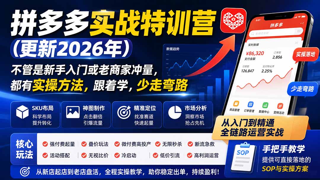 拼多多实战特训营(更新0915-橙心云网创