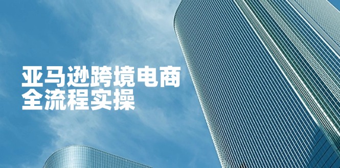 (14252期)亚马逊跨境电商全流程实操,教你从零开始,掌握店铺运营与广告技巧-橙心云网创