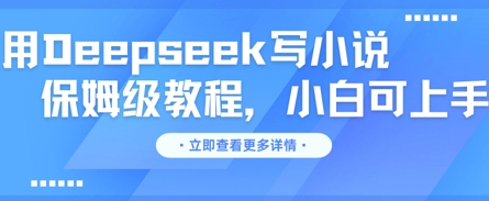 用Deepseek写小说,保姆级教程,小白可实操-橙心云网创